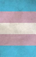 Transgender Pride Flag Sketchbook
