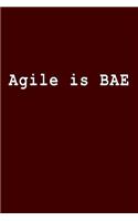 Agile Is Bae