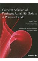 Catheter Ablation of Persistent Atrial Fibrillation: A Practical Guide