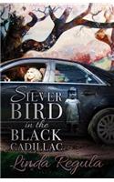 Silver Bird in the Black Cadillac