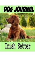 Dog Journal Irish Setter