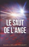 Saut de l'Ange