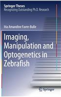Imaging, Manipulation and Optogenetics in Zebrafish