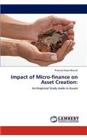 Impact of Micro-finance on Asset Creation