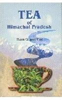 Tea Of Himachal Pradesh