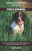 Guía Completa Para Tu Field Spaniel