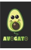 Avogato - Funny Avocado Cat