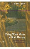 Doing What Works in Brief Therapy