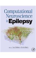 Computational Neuroscience in Epilepsy