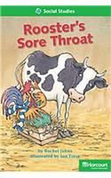 Storytown: Above Level Reader Teacher's Guide Grade 2 Roosters Sore Throat