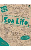 Dover Coloring Box -- Sea Life