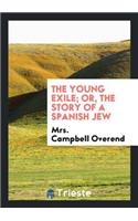 The Young Exile; Or, the Story of a Spanish Jew