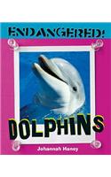 Dolphins