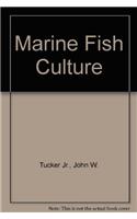 Marine Fish Culture