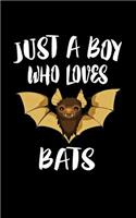 Just A Boy Who Loves Bats