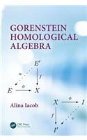 Gorenstein Homological Algebra