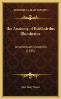 The Anatomy of Bdellodrilus Illuminatus: An American Discodrilid (1895)