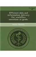 Efficient Data and Information Delivery for Workflow Execution in Grids: (English)