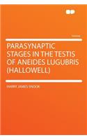 Parasynaptic Stages in the Testis of Aneides Lugubris (Hallowell)