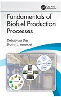 Fundamentals of Biofuel Production Processes