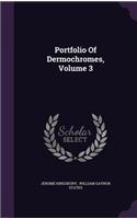 Portfolio Of Dermochromes, Volume 3