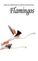 Flamingos