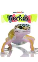 Geckos