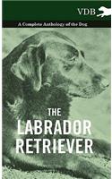 The Labrador Retriever - A Complete Anthology of the Dog: (English)