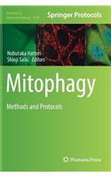 Mitophagy