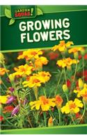 Growing Flowers
