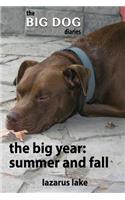 Big Year - Summer and Fall