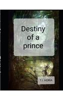 Destiny of the prince