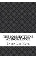 The Bobbsey Twins at Snow Lodge