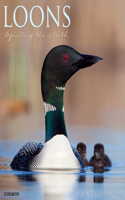 Loons 2021 Wall Calendar