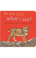 Do You See What I See?