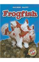 Frogfish