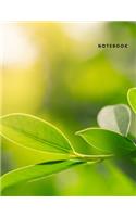 Notebook: Unlined Notebook - Large (8.5 x 11 inches) - 120 Pages - green Cover