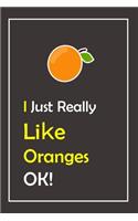 I Just Really Like Oranges, OK !: Notebook And Journal Gift - 120 pages Blank Lined Journal Notebook Planner