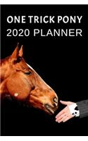 One Trick Pony: 2020 Planner For Horse Lovers