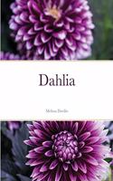 Dahlia