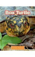 Box Turtle: Fun Facts and Amazing Photos of Animals in Nature