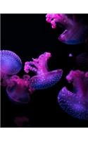 Jellyfish Notebook