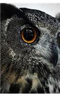 Bird of Prey Notebook