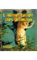 L'Alimentation Des Animaux