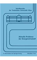 Aktuelle Probleme der Energiewirtschaft