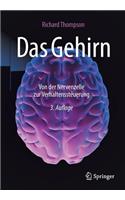 Das Gehirn