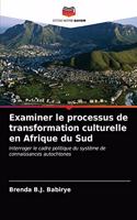 Examiner le processus de transformation culturelle en Afrique du Sud