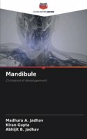 Mandibule