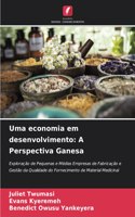 Uma economia em desenvolvimento