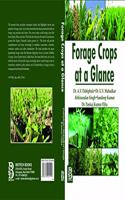 Forage Crops at a Glance